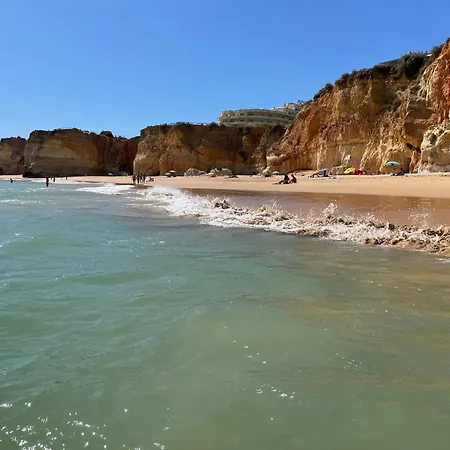 Laukamao Oceano